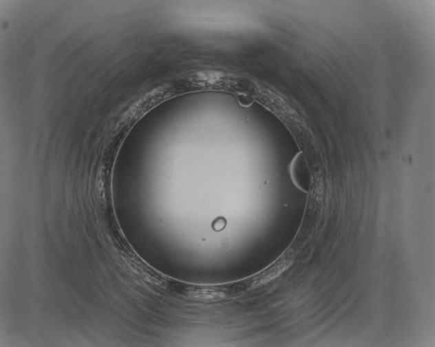 X0000083060754200702161756