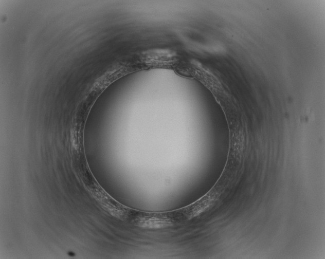 X0000083060755200702161756