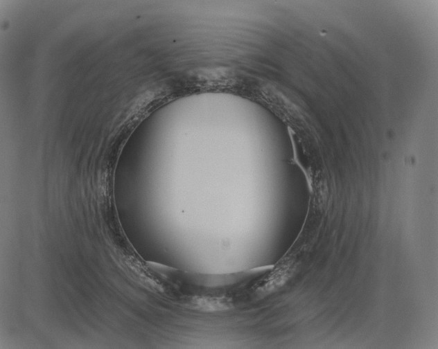 X0000083060756200702161756