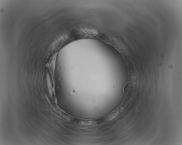 X0000083060757200702161756