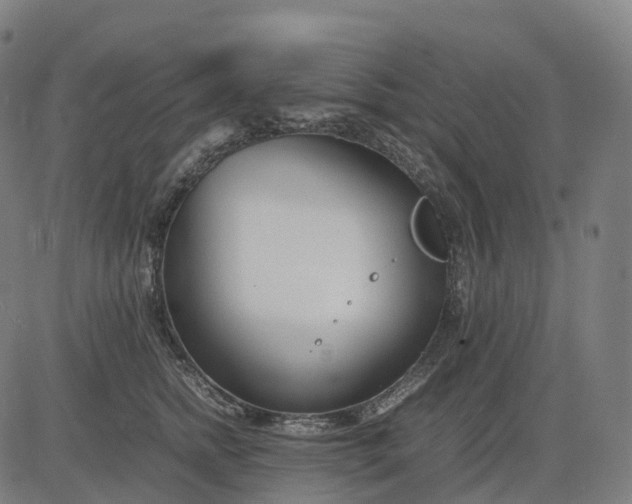 X0000083060758200702161756