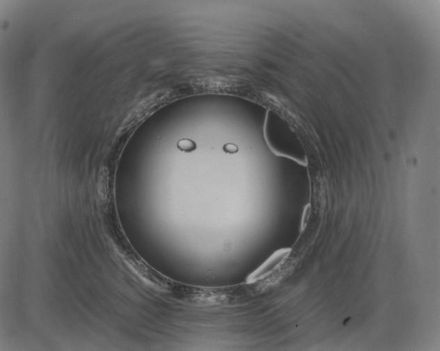 X0000083060760200702161756