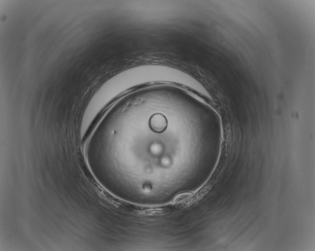 X0000083060761200702161756