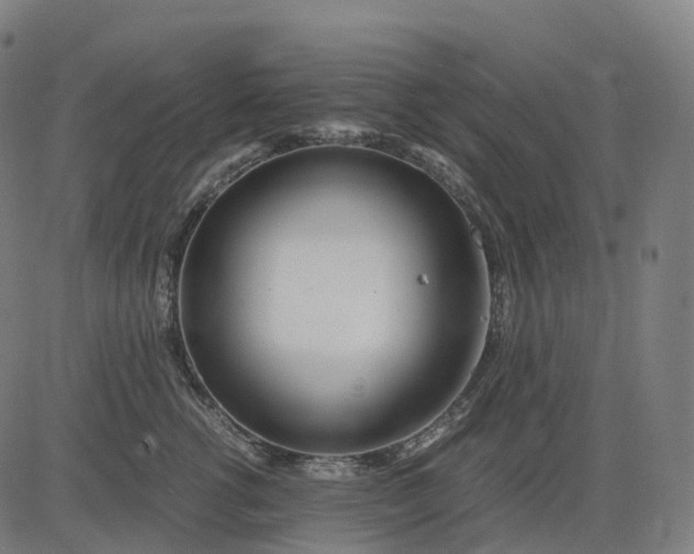 X0000083060762200702161756