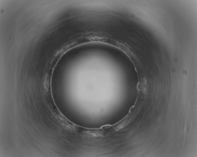 X0000083060763200702161756