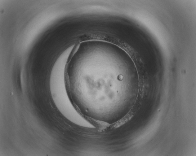 X0000083060765200702161756