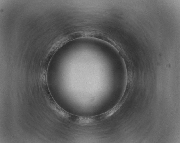 X0000083060766200702161756