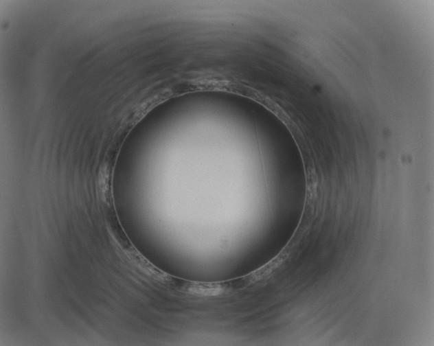 X0000083060767200702161756