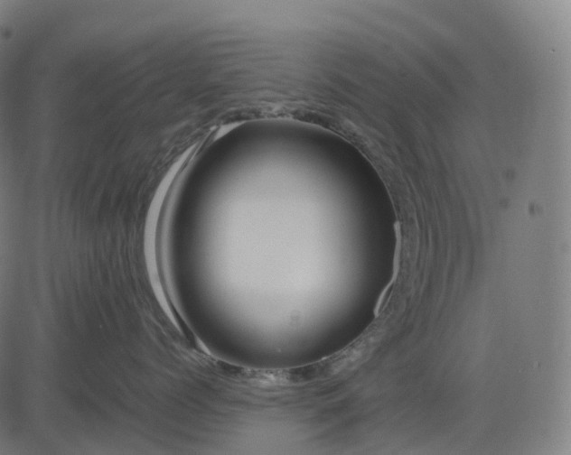 X0000083060768200702161756