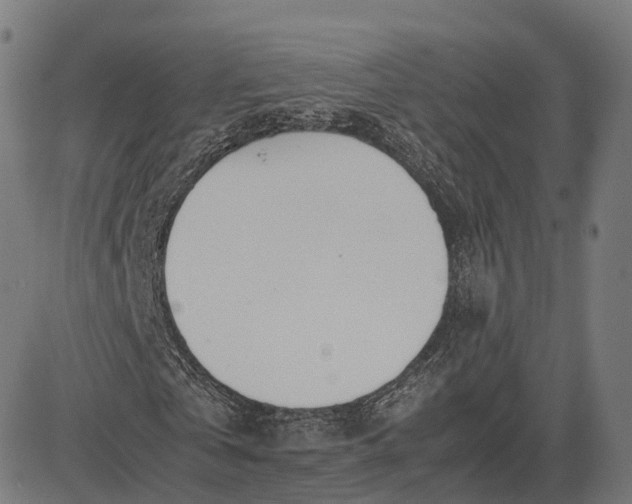 X0000083060769200702161756