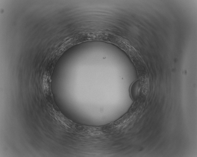 X0000083060770200702161755