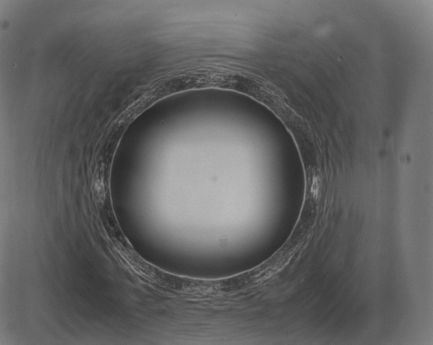 X0000083060771200702161755