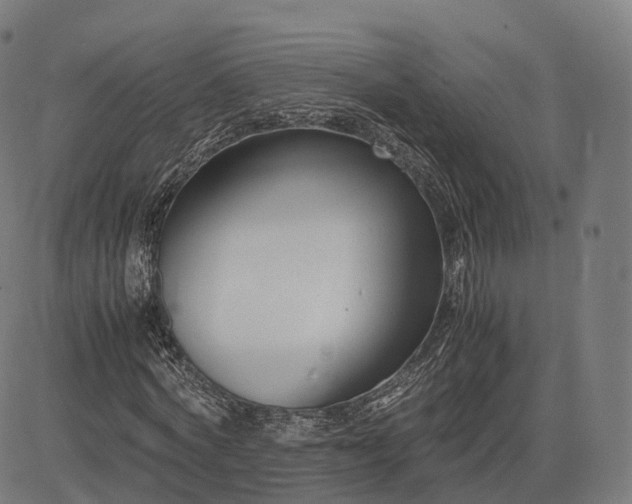 X0000083060772200702161755