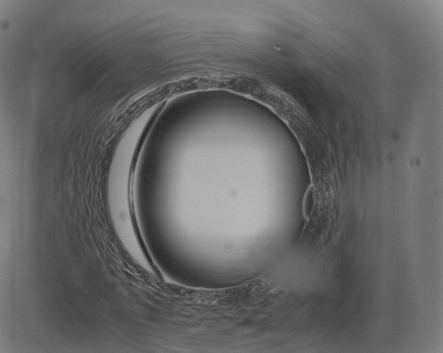 X0000083060773200702161755