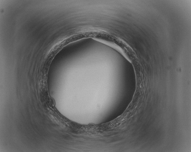 X0000083060775200702161755