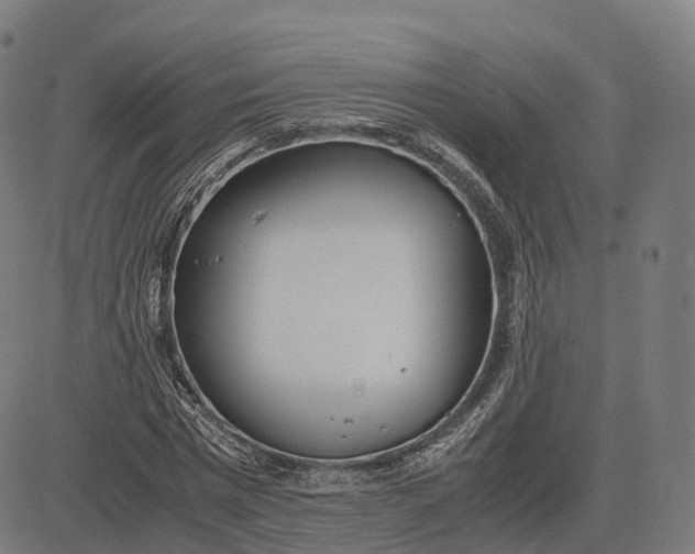 X0000083060777200702161755