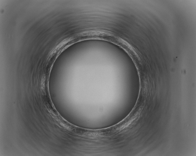 X0000083060778200702161755