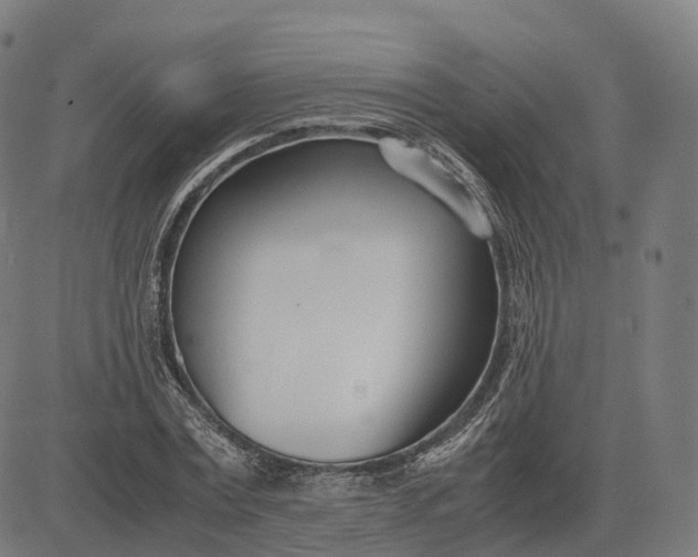 X0000083060779200702161755