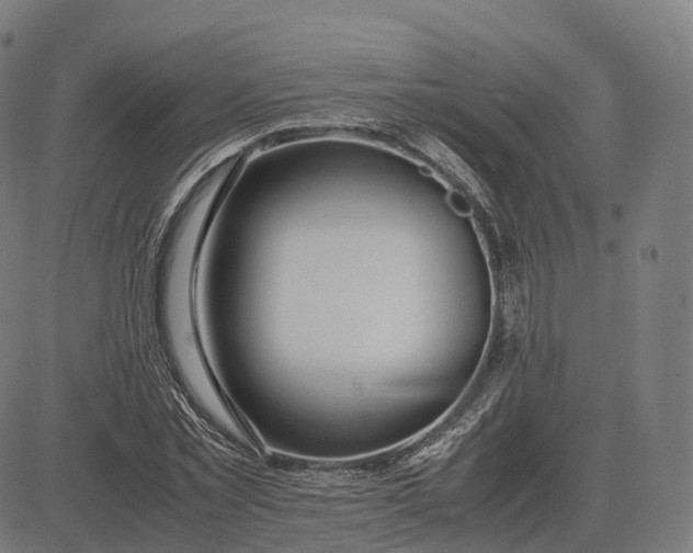 X0000083060781200702161755