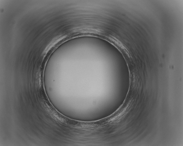 X0000083060782200702161755