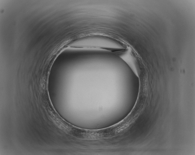 X0000083060785200702161755