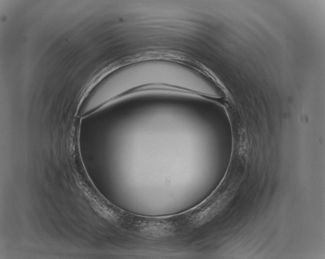 X0000083060786200702161755