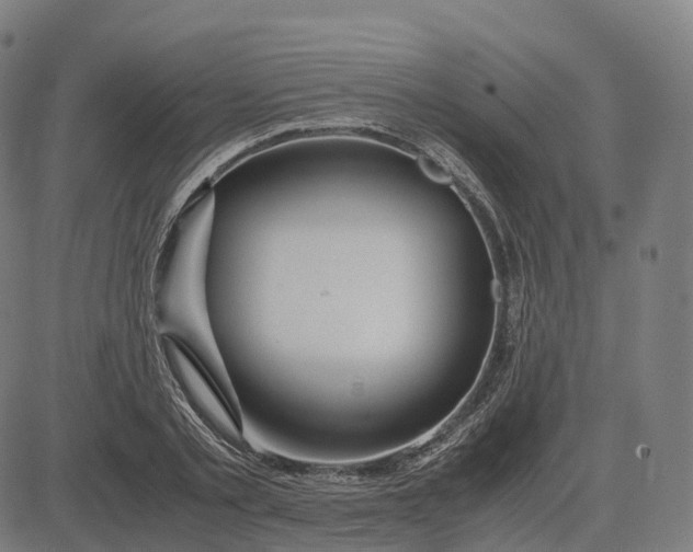 X0000083060789200702161755