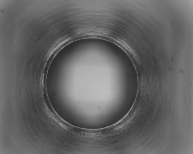 X0000083060790200702161755