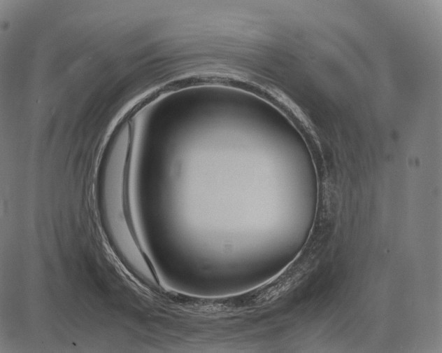 X0000083060791200702161755