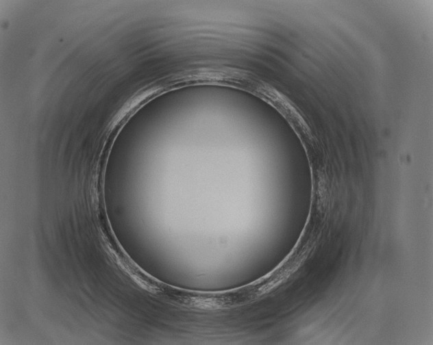 X0000083060794200702161755