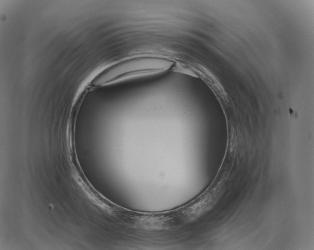 X0000083060796200702161755