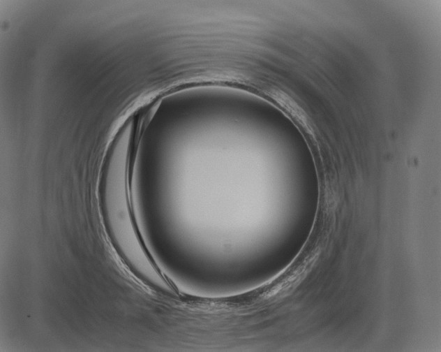 X0000083060797200702161755