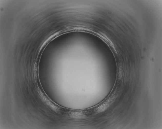 X0000083060798200702161755