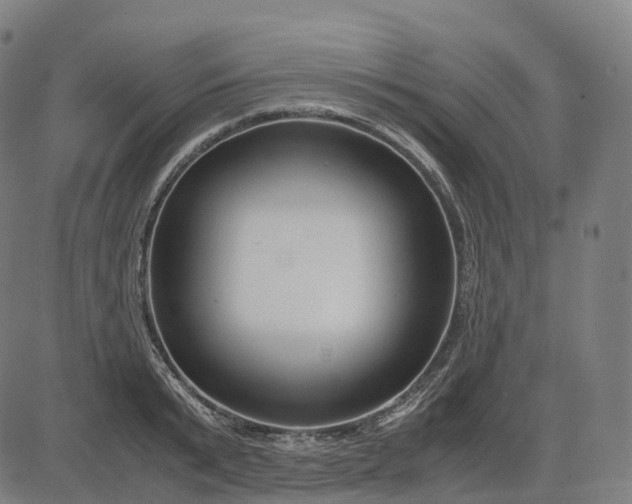 X0000083060799200702161755