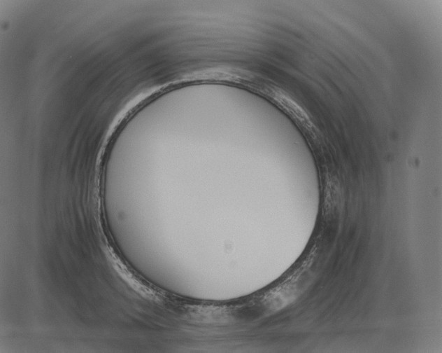 X0000083060800200702161755