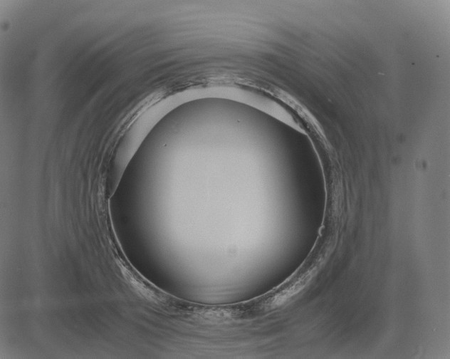 X0000083060801200702161755