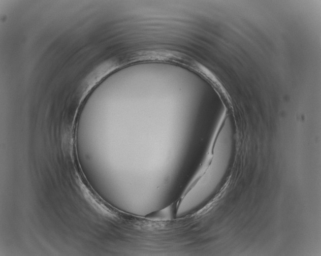 X0000083060802200702161755