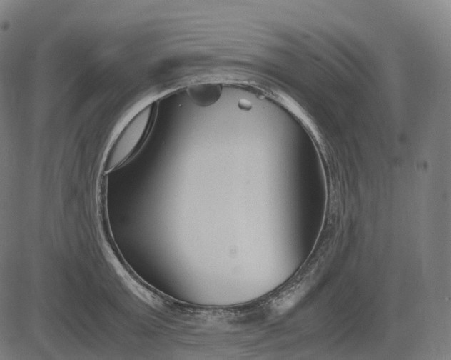 X0000083060803200702161755