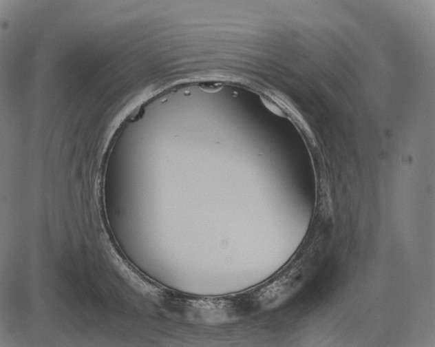 X0000083060805200702161755