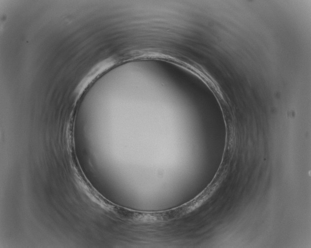 X0000083060806200702161755