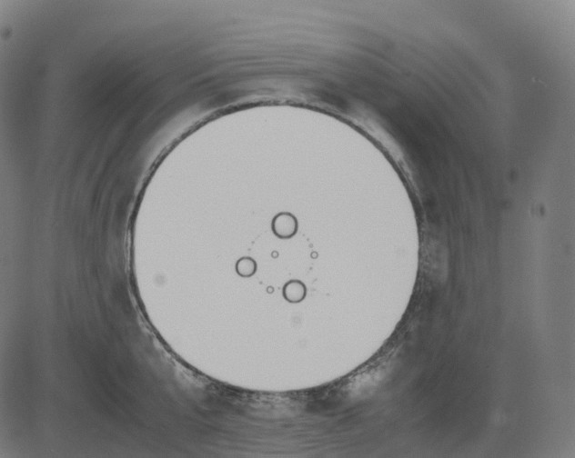 X0000083060807200702161755