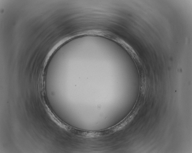 X0000083060808200702161755