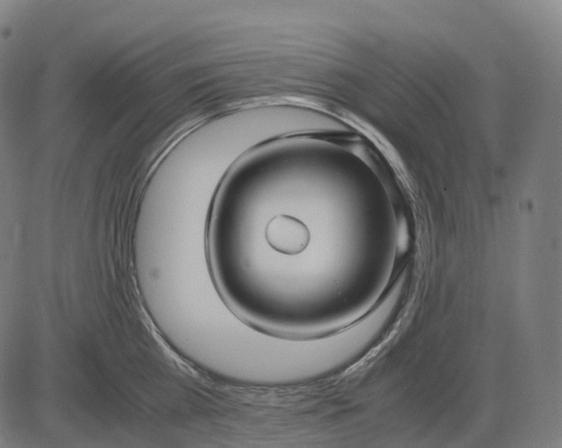 X0000083060809200702161755