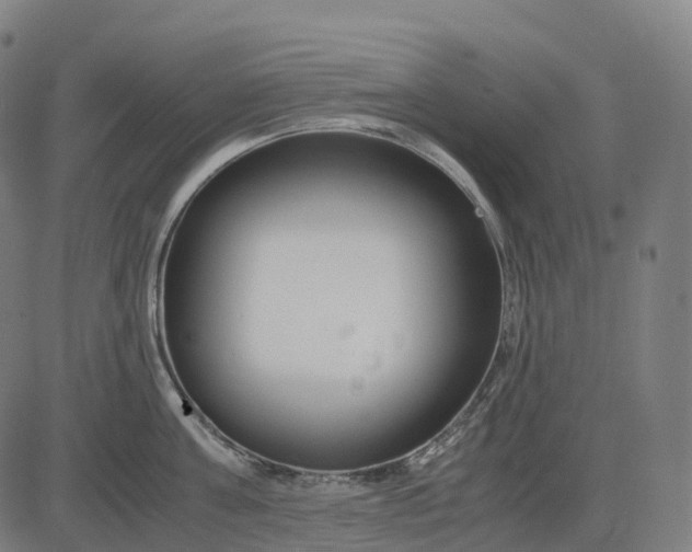 X0000083060811200702161755