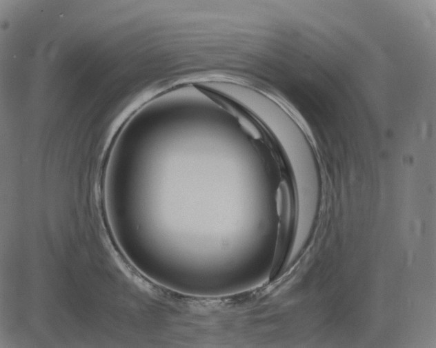 X0000083060813200702161755