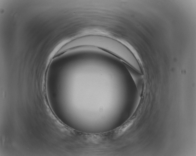 X0000083060815200702161755