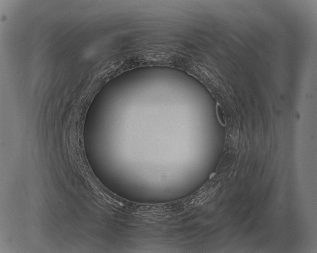 X0000083060817200702161754