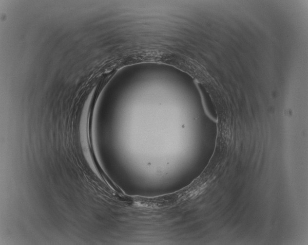 X0000083060818200702161754