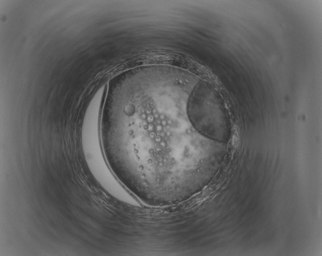 X0000083060819200702161754