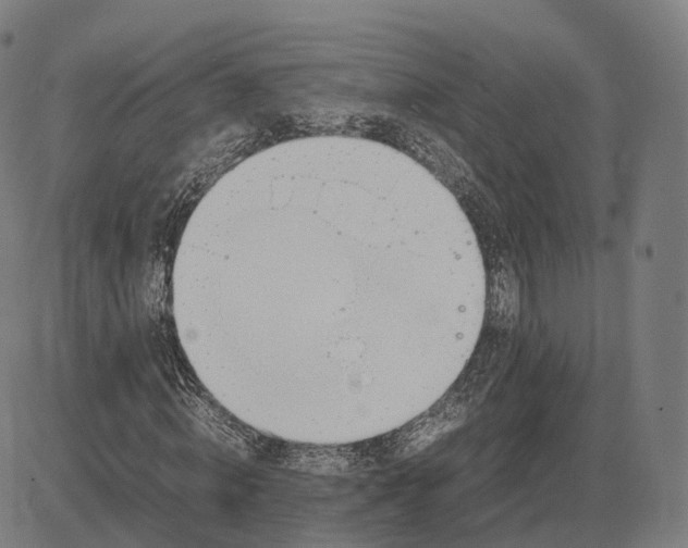 X0000083060820200702161754